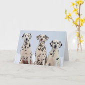 Dalmation Kaart (Gele Bloem)