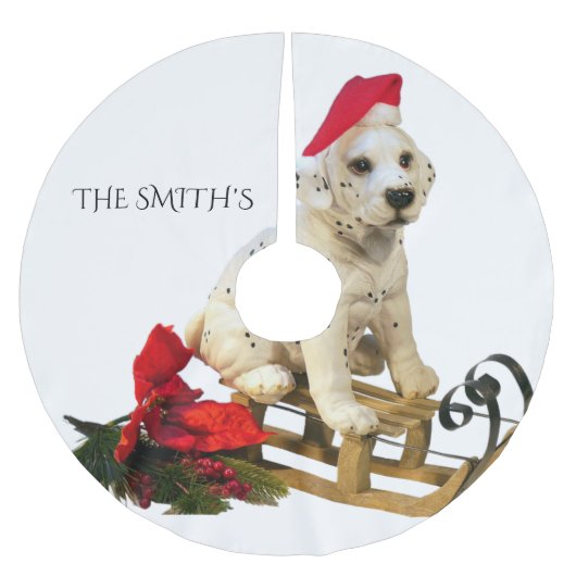 Dalmation kerstboomrok, aangepaste familienaam kerstboom rok (Voorkant)