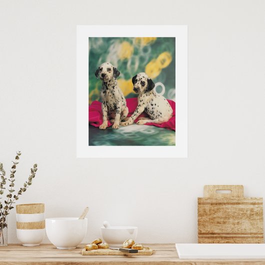 Dalmation Puppies Poster (Keuken)