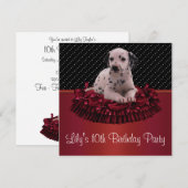 Dalmation Puppy Girls10e verjaardagsfeestje Kaart (Voorkant / Achterkant)
