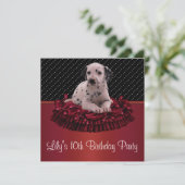 Dalmation Puppy Girls10e verjaardagsfeestje Kaart (Staand voorkant)