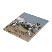 Dalmation Tegeltje (Zijkant)
