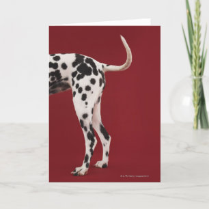Dalmatisch Achtergedeelte Kaart