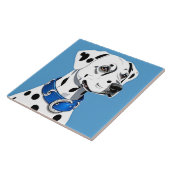 Dalmatisch hondenportret met blauwe kraag tegeltje (Zijkant)