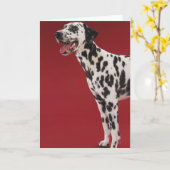 Dalmatisch Kaart (Gele Bloem)