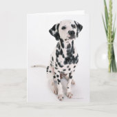 Dalmatisch Kaart (Voorkant)