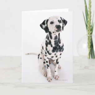 Dalmatisch Kaart