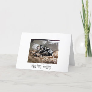 Dalmatisch.  Onderaan.  Verblijf.  Goede Jongen! Kaart