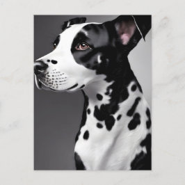 Dalmatisch, Postcrossing Briefkaart