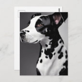 Dalmatisch, Postcrossing Briefkaart (Voorkant / Achterkant)