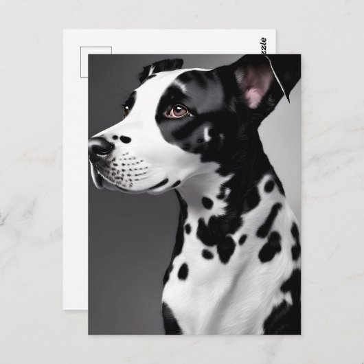 Dalmatisch, Postcrossing Briefkaart (Voorkant / Achterkant)