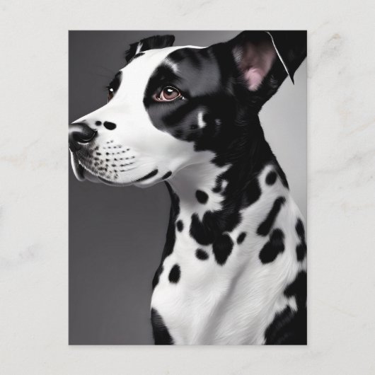 Dalmatisch, Postcrossing Briefkaart (Voorkant)