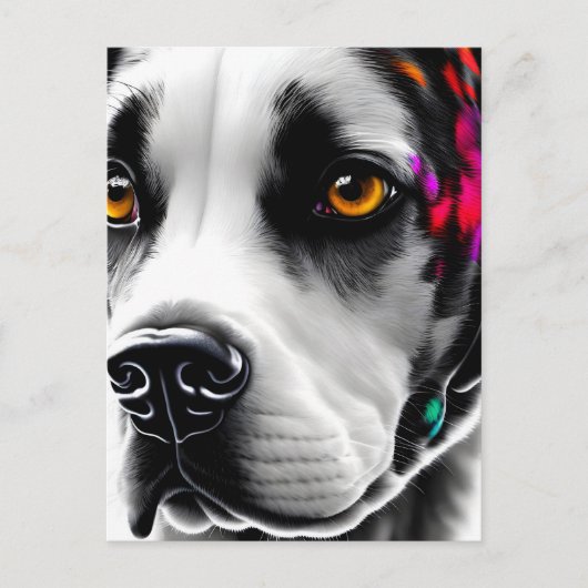 Dalmatisch, Postcrossing Briefkaart (Voorkant)