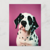 Dalmatisch, Postcrossing Briefkaart (Voorkant)
