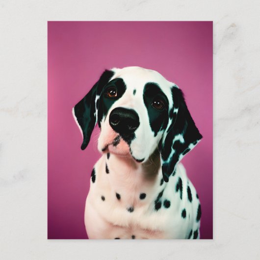 Dalmatisch, Postcrossing Briefkaart (Voorkant)