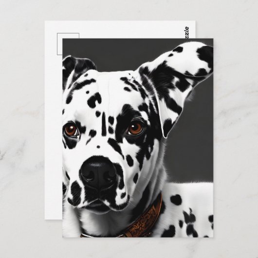 Dalmatisch, Postcrossing Briefkaart (Voorkant / Achterkant)