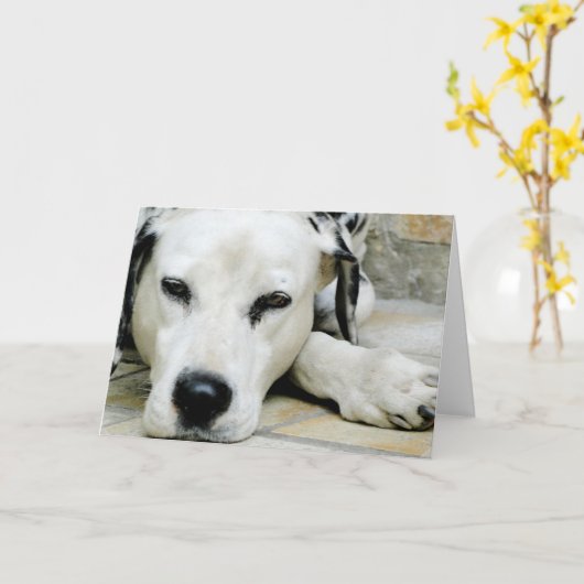 Dalmatisch Rustend Wenskaart Kaart (Gele Bloem)