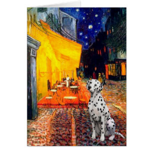 Dalmatische 1 - Terras Cafe