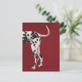 Dalmatische achterkant briefkaart (Staand voorkant)