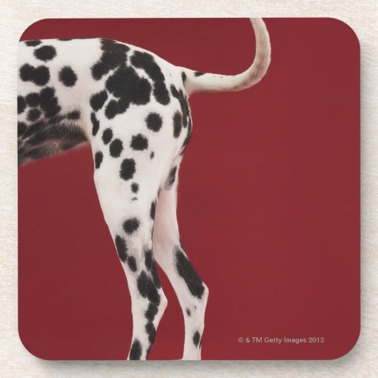 Dalmatische achterkant drankjes onderzetter (Voorkant)