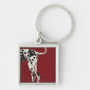 Dalmatische achterkant sleutelhanger