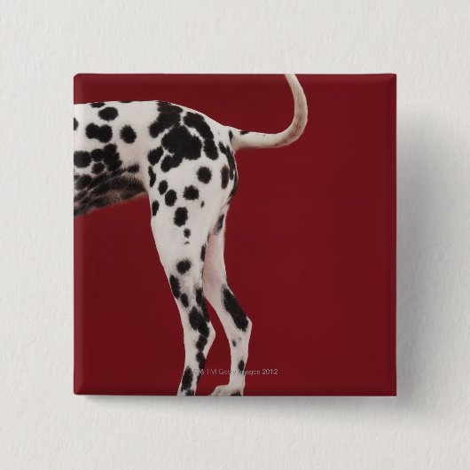 Dalmatische achterkant vierkante button 5,1 cm (Voorkant)