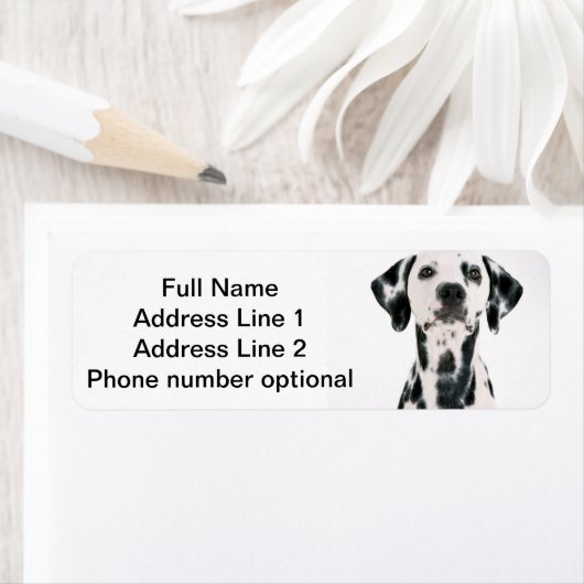 Dalmatische Adres sticker (Insitu)