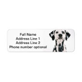 Dalmatische Adres sticker (Voorkant)