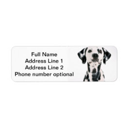 Dalmatische Adres sticker
