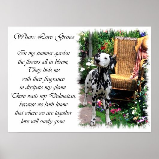 Dalmatische Art Print (Voorkant)