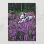 Dalmatische Bar Menu (Achterkant)