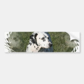 Dalmatische Bumpersticker (Voorkant)