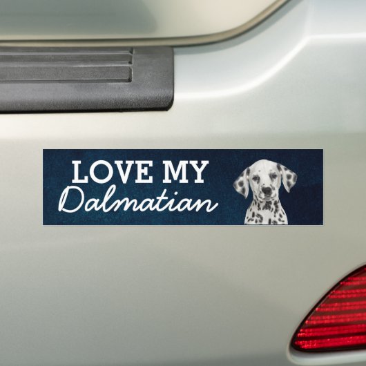 Dalmatische bumpersticker (Op auto)