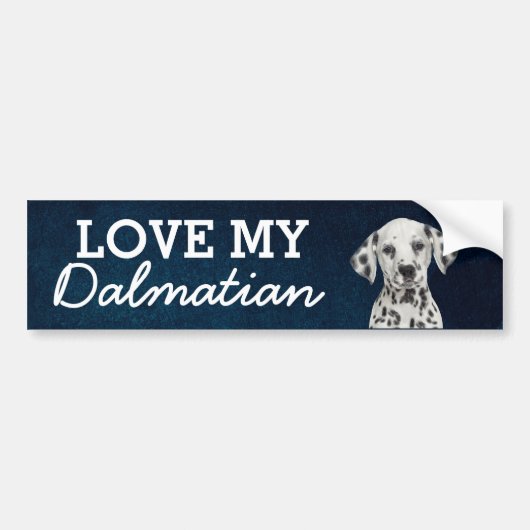 Dalmatische bumpersticker (Voorkant)