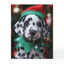 Dalmatische Elf Puppy Kerst Kaart