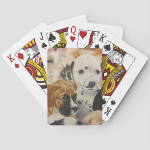 Dalmatische en Boxer-Puppies Speelkaarten