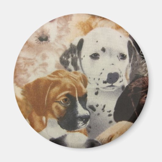 Dalmatische en Boxer Pups Magneet (Voorkant)