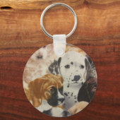 Dalmatische en Boxer Pups Sleutelhanger (Voorkant)