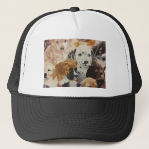 Dalmatische en Boxer Pups Trucker Pet