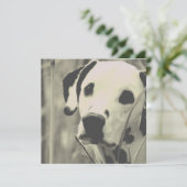 dalmatische hond (Staand voorkant)