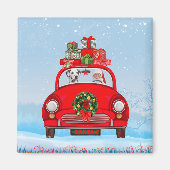 Dalmatische hond in auto met kerstman magneet (Voorkant)