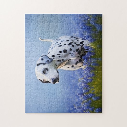Dalmatische hond legpuzzel (Verticaal)
