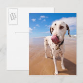 Dalmatische hond op strand briefkaart (Voorkant / Achterkant)