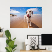 Dalmatische hond op strand poster (Thuiskantoor)