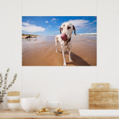 Dalmatische hond op strand poster (Keuken)