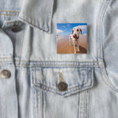 Dalmatische hond op strand vierkante button 5,1 cm (In situ)