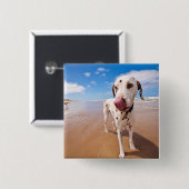 Dalmatische hond op strand vierkante button 5,1 cm (Voorkant /achterkant)