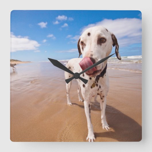 Dalmatische hond op strand vierkante klok (Voorkant)