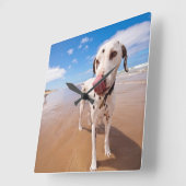 Dalmatische hond op strand vierkante klok (Hoek)
