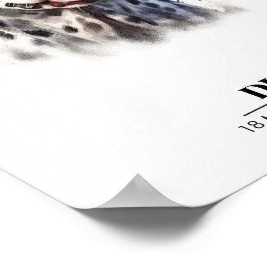 Dalmatische Hond Poster (Hoek)